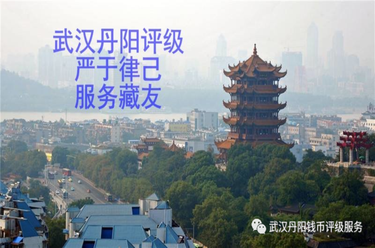 鉴定备注